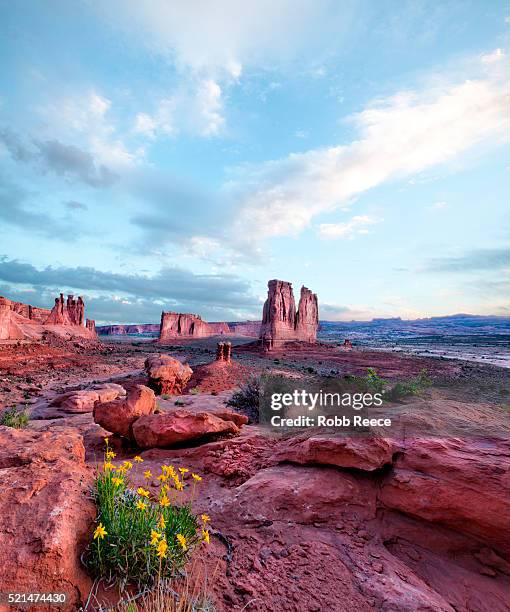 sandstone rock formations at sunrise in arches national park, utah, u.s.a - robb reece stock pictures, royalty-free photos & images