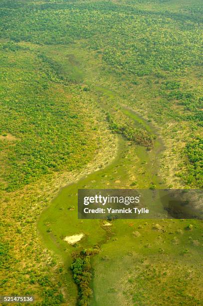 aerial photos of central african republic - ugandan lord's resistance army stock pictures, royalty-free photos & images