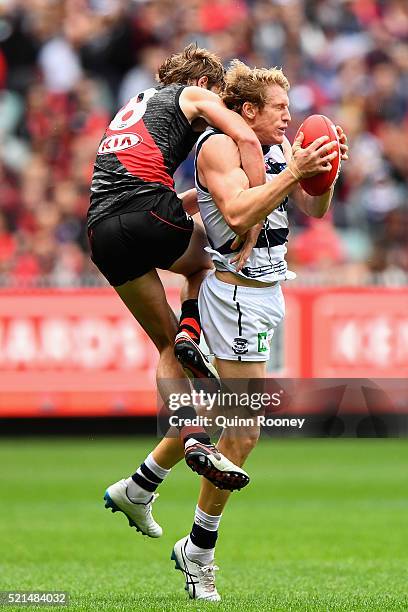 Josh Caddy of the Cats marks infront of Martin Gleeson of the Bombers during the round four AFL match between the Essendon Bombers and the Geelong...