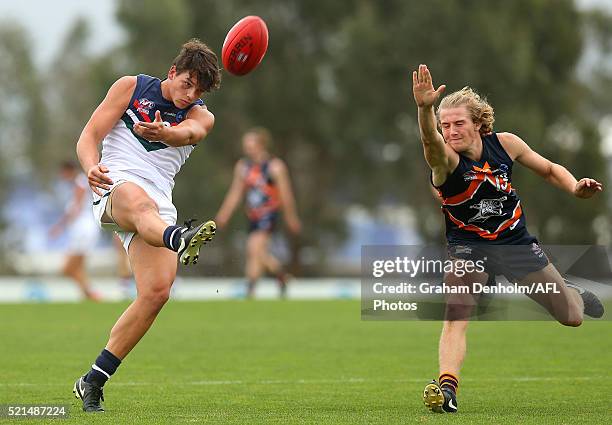 Nsw Act Rams Photos and Premium High Res Pictures Getty Images