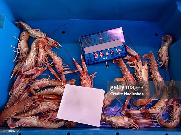 fresh crayfish at market - denia 個照片及圖片檔