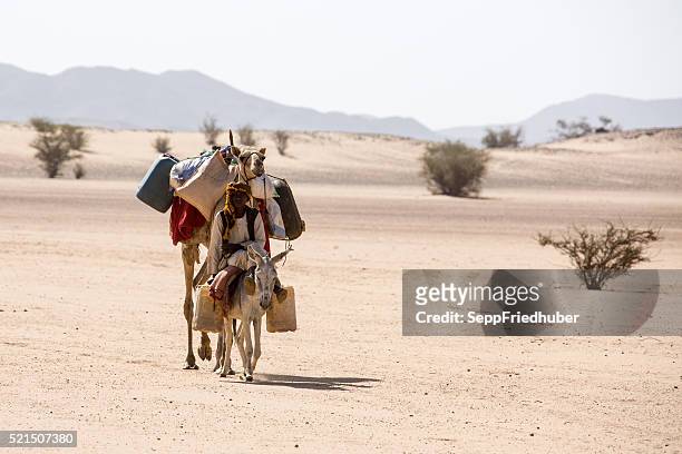 sudanesischer nomad in der wüste nesr karima - sepp friedhuber stock-fotos und bilder