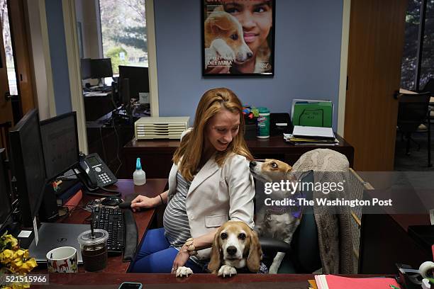 Executive Assistant Sarah Redding shares her desk area with her dogs Ruby and Finn at the Humane Society of the United States in Gaithersburg,...