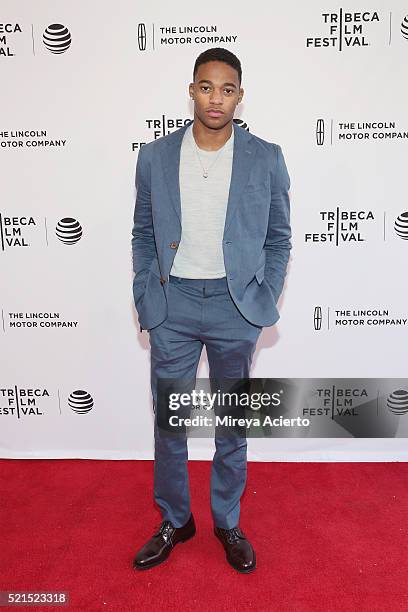 Actor Christopher Meyer attends the "Wolves" Premiere during 2016 Tribeca Film Festival at SVA Theatre on April 15, 2016 in New York City.