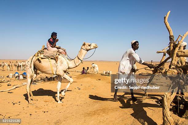 reisende in einem großen brunnen sudan - sepp friedhuber stock-fotos und bilder