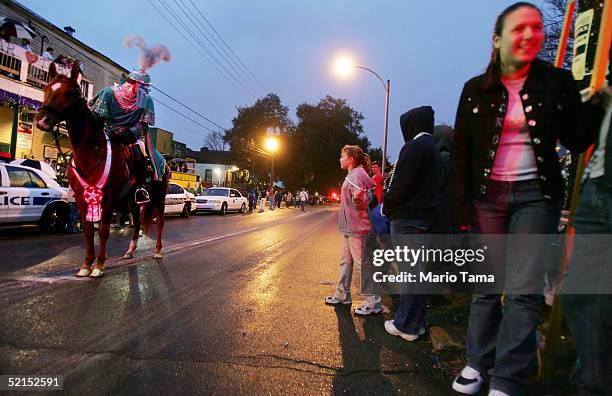 Revelers look on at a mounted horseman during the historic Proteus parade, founded in 1882, during Mardi Gras festivites February 7, 2005 in New...