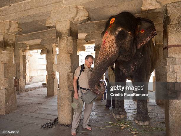 tourist being blessed by indian elephant in virupaksha temple, hampi - hampi stock pictures, royalty-free photos & images