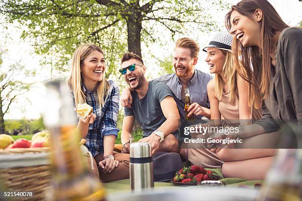 perfect picnic vibes - park picnic stock pictures, royalty-free photos & images