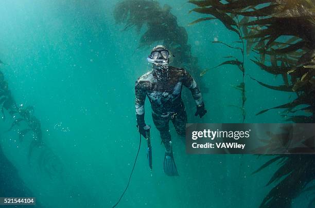 lanza pesca - buceo de profundidad fotografías e imágenes de stock