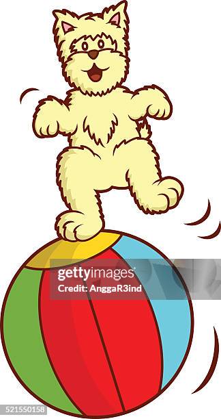 Westie Dog Playing With Big Ball High-Res Vector Graphic