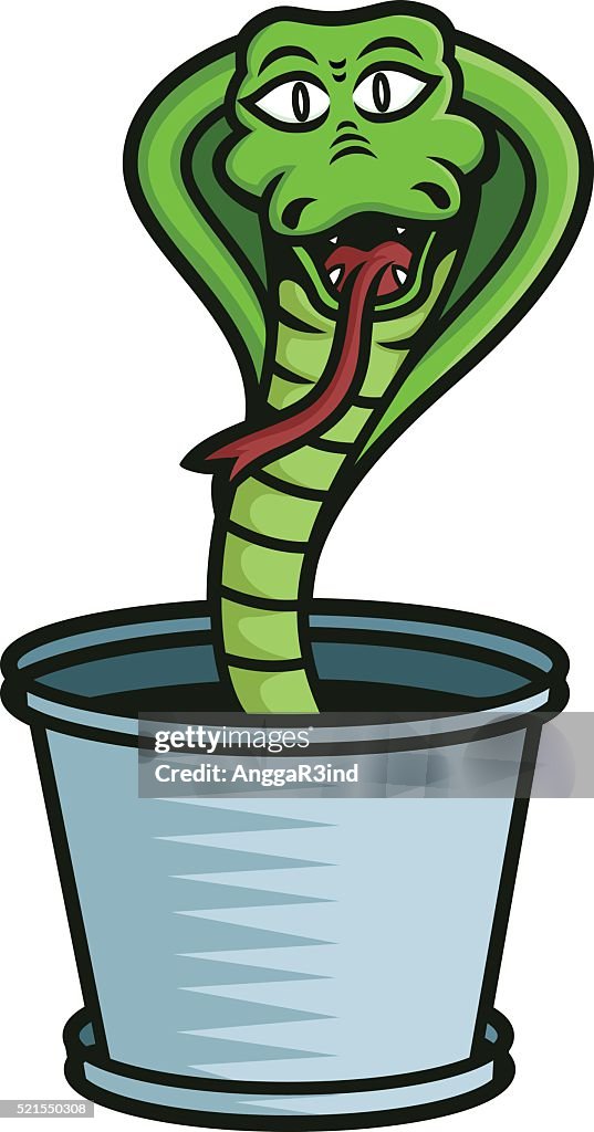 Cobra in the Bucket