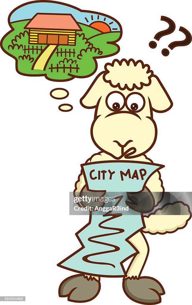 Lost Sheep Looking at City Map
