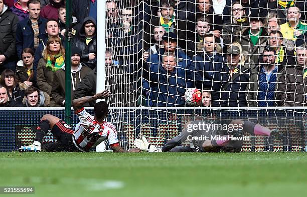 Jermain Defoe of Sunderland scores his team's second goal during the Barclays Premier League match between Norwich City and Sunderland at Carrow Road...
