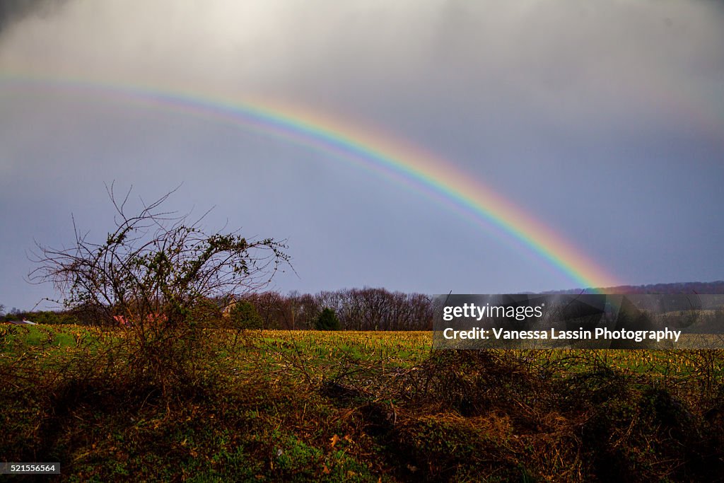 St. Patty's Day Rainbow