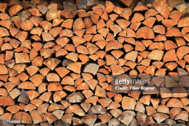 canada, alberta, banff national park, stack of firewood, - legna da ardere foto e immagini stock