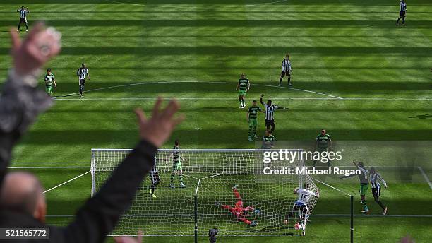 Jamaal Lascelles of Newcastle United scores his teams first goal during the Barclays Premier League match between Newcastle United and Swansea City...