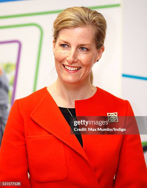 Sophie, Countess of Wessex opens the newly refurbished Girlguiding head office on April 16, 2016 in London, England.