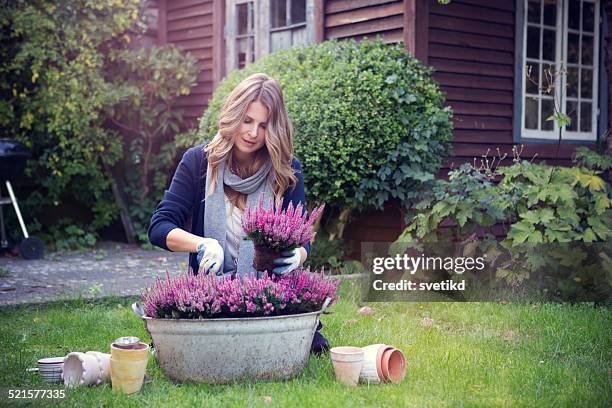 woman in garden. - blond bush stock pictures, royalty-free photos & images
