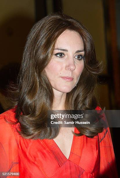 Catherine, Duchess of Cambridge attends a reception for British nationals in Bhutan and Bhutanese people with strong links to the UK on April 15,...