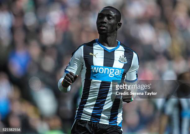 Papiss Cisse of Newcastle during the Barclays Premier League match between Newcastle United and Swansea City at St.James' Park on April 16 in...