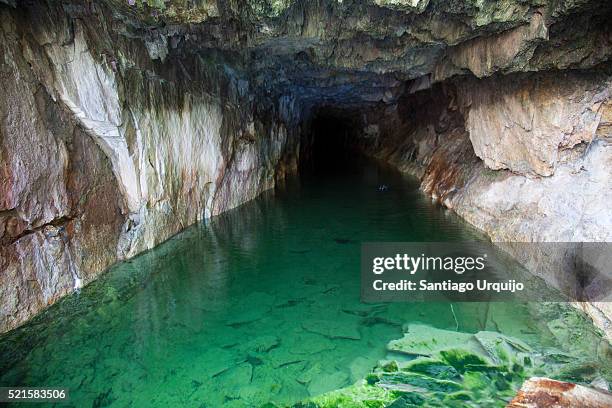 mine shaft inundated with acidic water - extremophil stock pictures, royalty-free photos & images