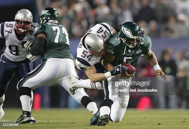 Linebacker Tedy Bruschi of the New England Patriots sacks quarterback Donovan McNabb of the Philadelphia Eagles during Super Bowl XXXIX at Alltel...