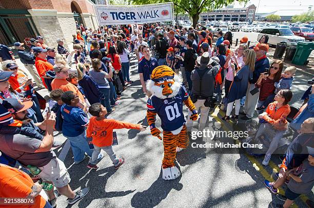 Mascot Aubie of the Auburn Tigers prior to their spring game at Jordan Hare Stadium on April 9, 2016 in Auburn, Alabama.