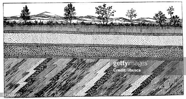 antique illustration of soil layers section - underground cross section stock illustrations