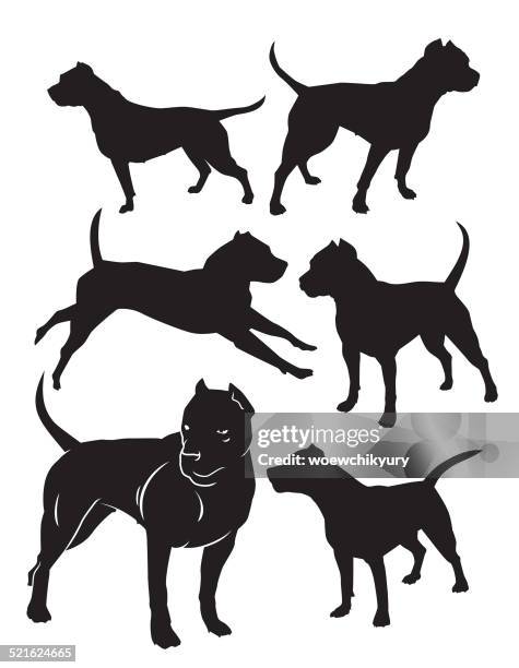 ilustrações de stock, clip art, desenhos animados e ícones de silhuetas de luta de cães - grupo médio de animais