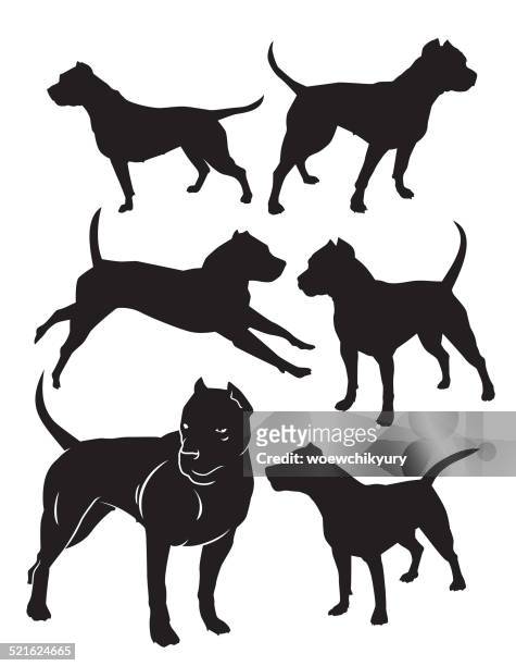 silhouettes of fighting dogs - pit bull terrier 幅插畫檔、美工圖案、卡通及圖標