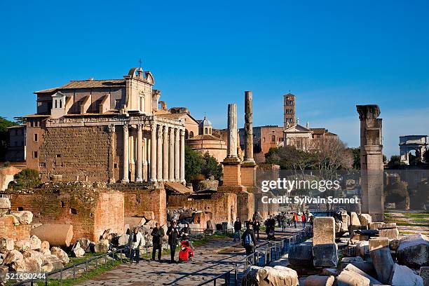 temple of antoninus and faustina - faustina temple stock pictures, royalty-free photos & images