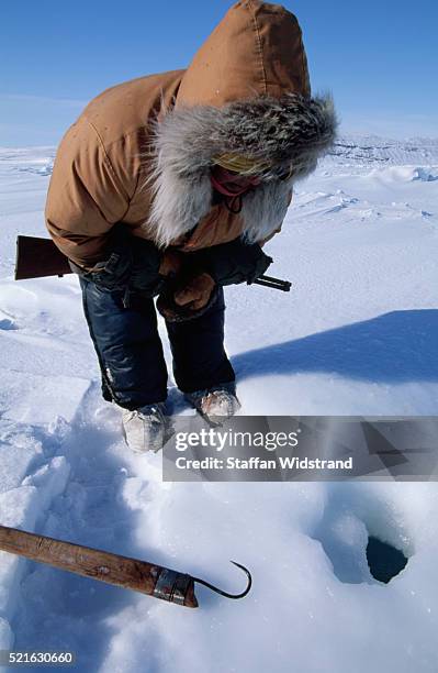 inuit seal hunter watching a seal's breathing hole - breathing hole stock pictures, royalty-free photos & images