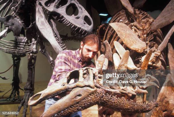 Roger Rouch 555 Dinosaur Colorado Stock Photos, High-Res Pictures, and Images ...