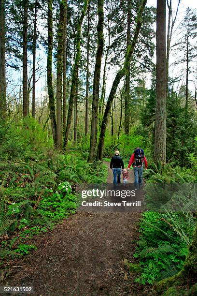 hiking through tryon creek state park natural area - at trillium trails stock pictures, royalty-free photos & images