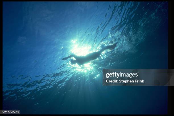 snorkeler in silhouette - snorkeling silhouette stock pictures, royalty-free photos & images