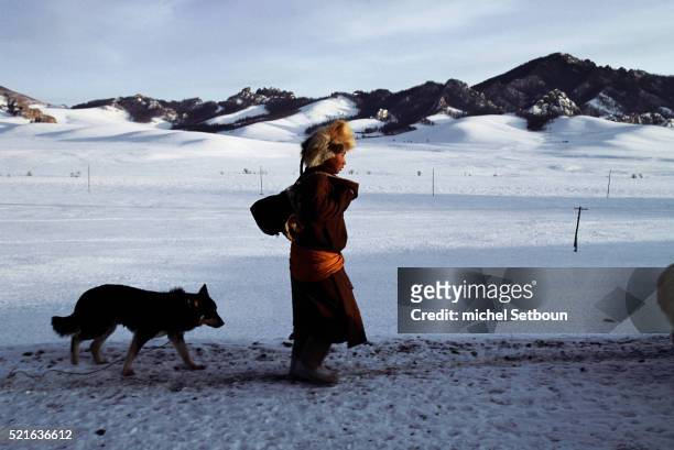 mongolian man walking with dog - prairie dog 個照片及圖片檔