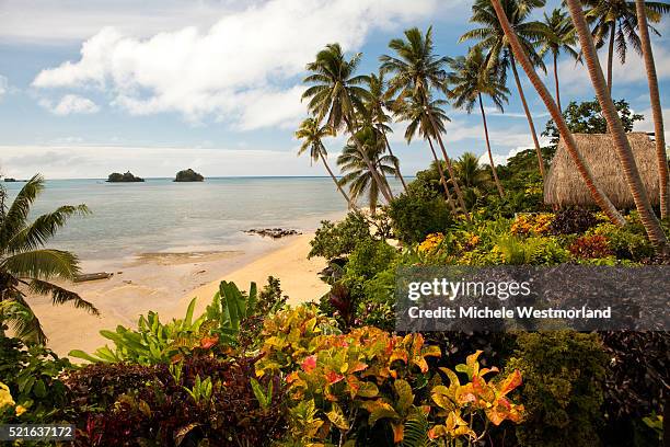 beach on taveuni island - fidschi stock-fotos und bilder