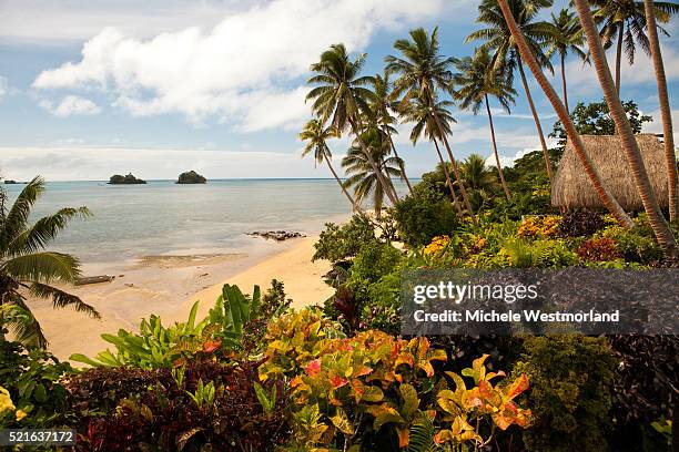 beach on taveuni island - fiji hut stock pictures, royalty-free photos & images