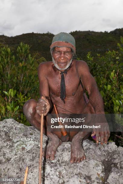 dani tribesman wearing a penis guard - koteka stock pictures, royalty-free photos & images