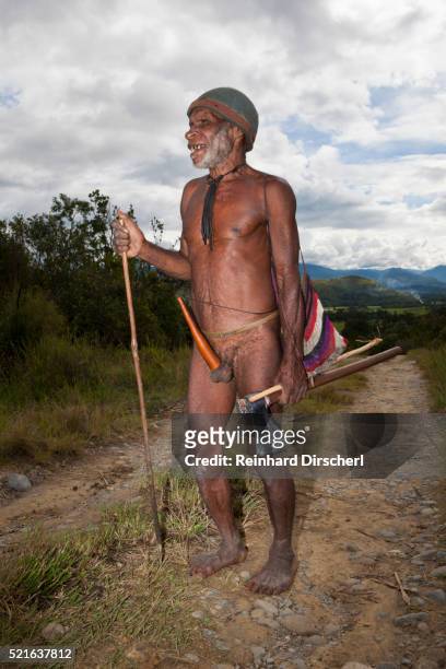 dani tribesman wearing a penis guard and carrying tools, baliem valley, west papua, indonesia - koteka stock pictures, royalty-free photos & images