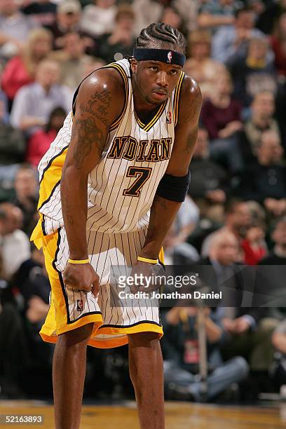 Jermaine O'Neal of the Indiana Pacers stands on the court during the game against the Detroit Pistons on January 27, 2005 at the Conseco Fieldhouse...