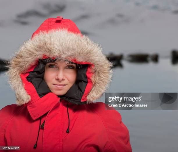 young girl in parka with seals in the background - parka stock pictures, royalty-free photos & images