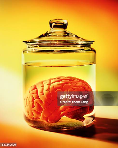 human brain in jar - brain in a jar stock pictures, royalty-free photos & images
