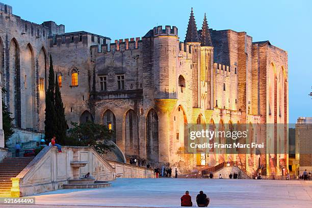 palais des papes, avignon, vaucluse, provence - apostolic palace stockfoto's en -beelden