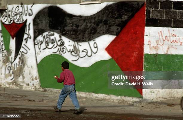 colors of palestine - palästinensische flagge stock-fotos und bilder
