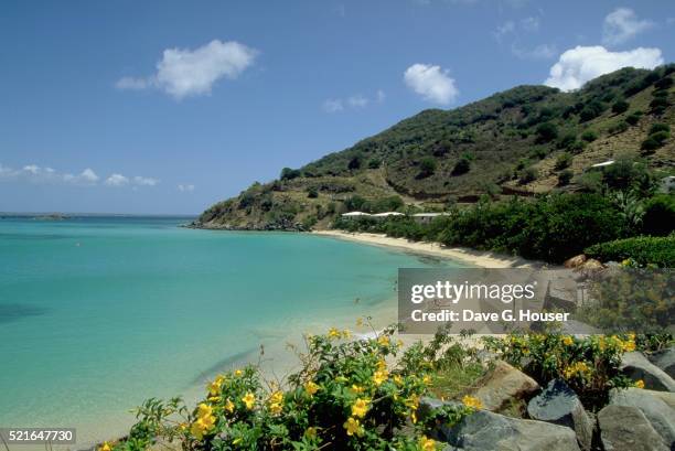 beach on saint martin - guadeloupe stock pictures, royalty-free photos & images