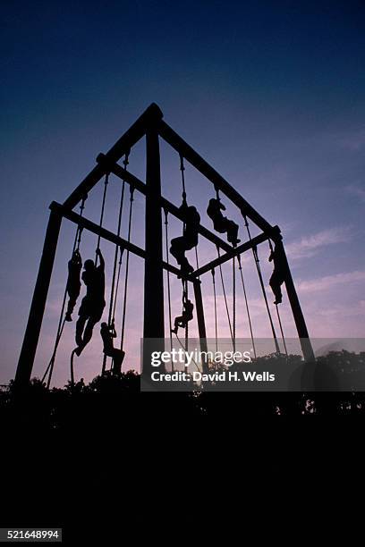 marine recruits climbing ropes - marine corps boot camp stock pictures, royalty-free photos & images