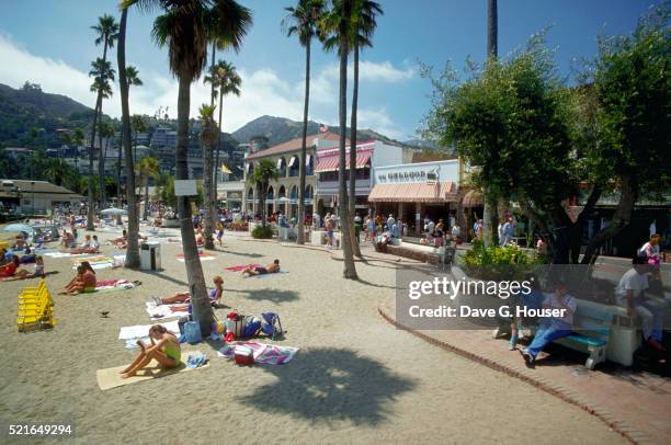 sunbathers on santa catalina beach - insel catalina island stock-fotos und bilder