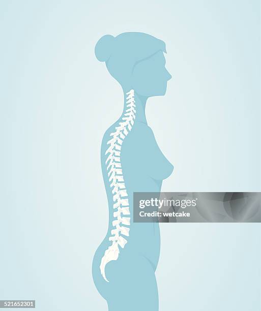 ilustraciones, imágenes clip art, dibujos animados e iconos de stock de columna vertebral humana - columna