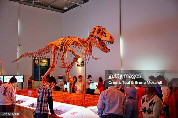 mongolia, ulan bator, dinosaur skeleton (tyrannosaurus) exposed in sukhbaatar square - dinosaur skeleton stock pictures, royalty-free photos & images